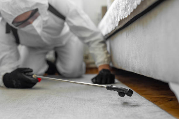 Professional Termite Control technician working in Basehor, KS