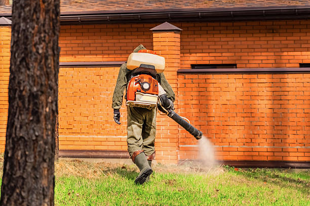 Top rated local Termite Control specialists in Basehor, KS